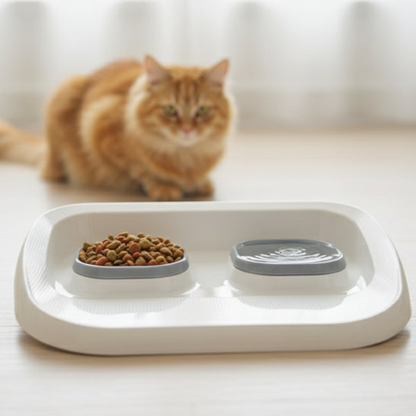 2+1 Mama ve Su Kabı